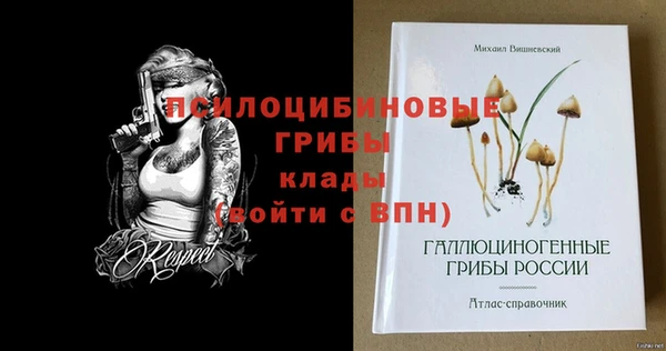 амф Киренск