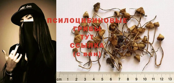 гашик Киреевск