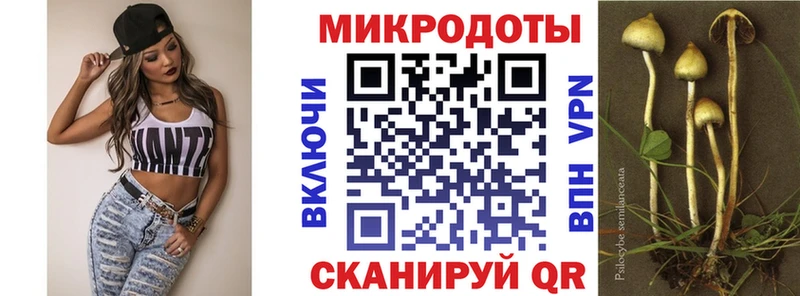 Купить Карталы Галлюциногенные грибы Magic Shrooms